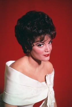 mydailyvintagephotos:Happy Birthday Connie Francis 🎂