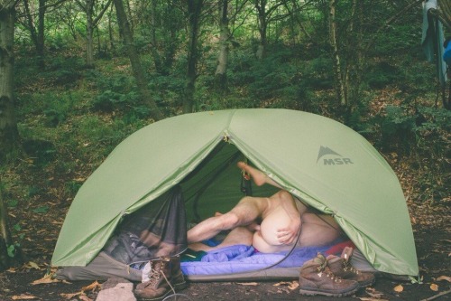 nymuscledad:My boy and I went camping.  We taught the birds and bees about the birds and bees.