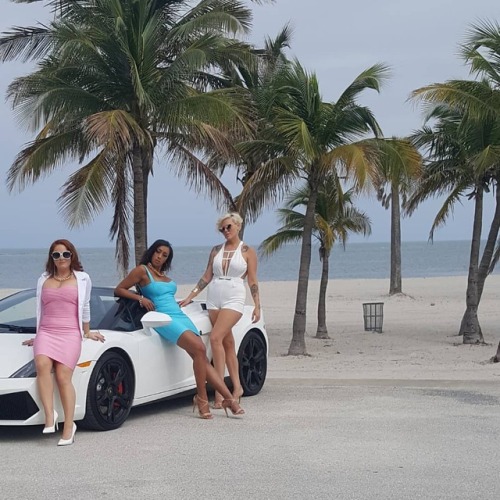 The VIT Spokesmodels ROCKED the Miami Vice photo shoot! #ViceIndustrytoken #cryptocurrency #blockcha