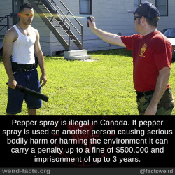 maquasi: this-is-cthulhu-privilege:  pax-britannica:   arirosie:  pax-britannica:   arirosie:   mindblowingfactz:     Pepper spray is illegal in Canada. If pepper spray is used on another person causing serious bodily harm or harming the environment it