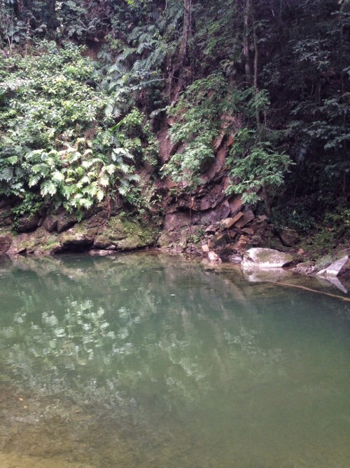 theeyeoftroy:Mermaid Pool, Matura Village, Trinidad. Copyright 2016 Troy De Chi. All rights reserved