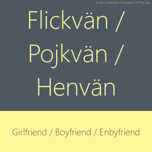 dagenssvenska:Flickvän / Pojkvän / Henvän - Girlfriend / Boyfriend / Enbyfriend