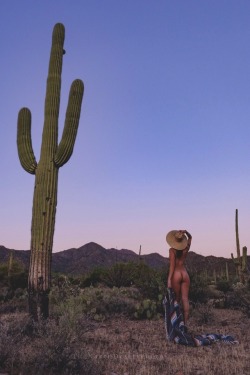 thenakeddesert:  Saguaro (2018)