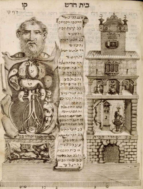 worldhistoryfacts: Early anatomical drawings. Left: from an 18th century Venetian Hebrew encyclopedi