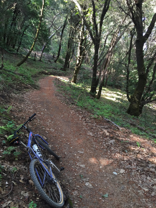 vintagemtb: 1991 Slingshot on John Nicolas Trail, Santa Cruz Mountains, CA.