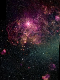 utcjonesobservatory:  This image of 30 Doradus, the Tarantula Nebula, in the Large Magellanic Cloud (LMC) was taken with the Curtis Schmidt telescope at Cerro Tololo Inter-American Observatory (CTIO) in Chile, as part of the Magellanic Cloud Emission