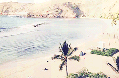 damnhaehyuk:  Hyukjae in Hawaii. (◡‿◡✿) 