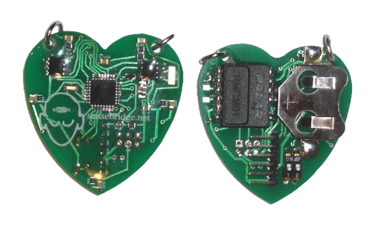 computer chip heart