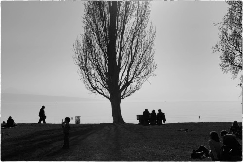 I photographed this scene recently on a nice day spent along Lac Léman in Switzerland. The da