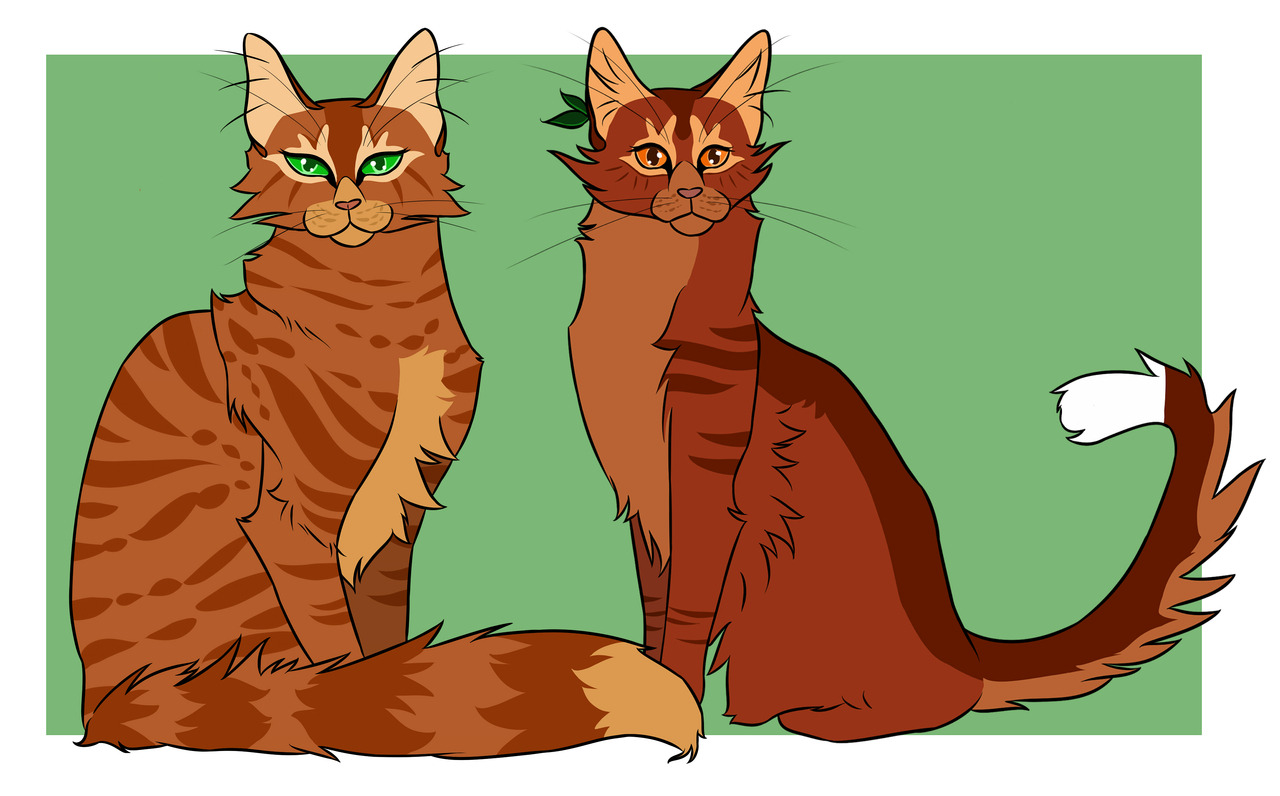 Warrior cats characters and how I imagine them