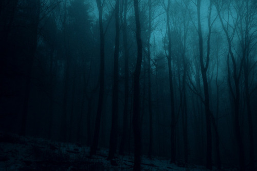 mydarkenedeyes:Jan Erik Waider