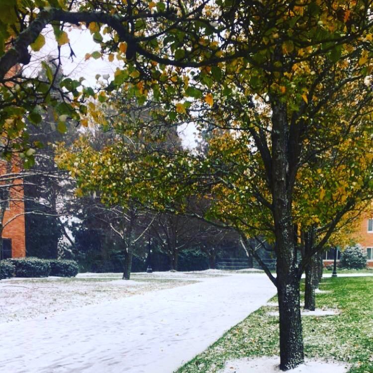 somanyaesthetics:  Throw back to like Thursday when I saw my first snow ever. #portland
