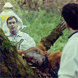 nbchannibal:  stupidscalptattoos:  He-Ate-Us meme: 5 crime scenes  ↳ 4/5 Bee Guy (2x4)   