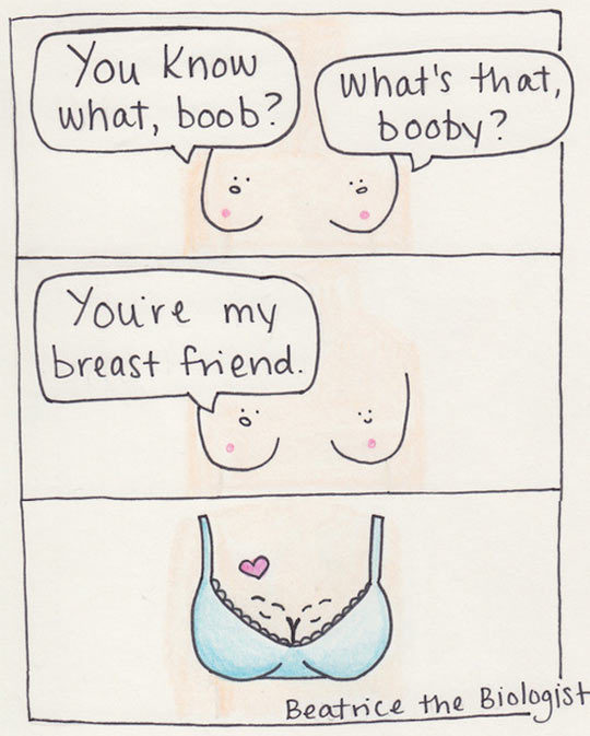 funnyandhilarious:  Breast Friend EverFunny SMS »Funny Pics »