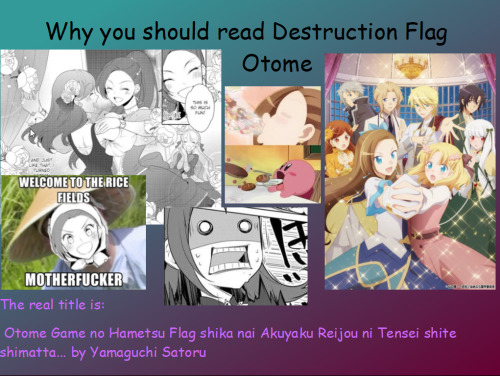 hmu if you end up reading/ watching Destruction Flag Otome!! (and check out Verge of Destruction, it