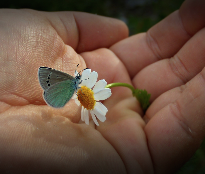 nubbsgalore: photos by mehmet karaca  