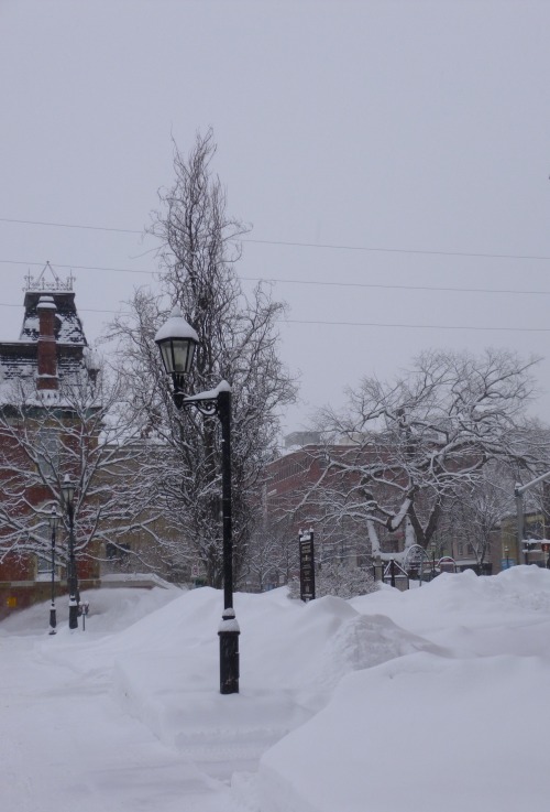 Some more pictures of the snow yesterday. It was only -5, so it almost felt like spring. It went bac