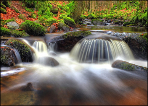 Inchewan Burn by angus clyne on Flickr.