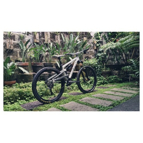 pochmaui: Backyard. #santacruzbicycles #allmountain #bicycle #mountainbike #backyard #garden #green