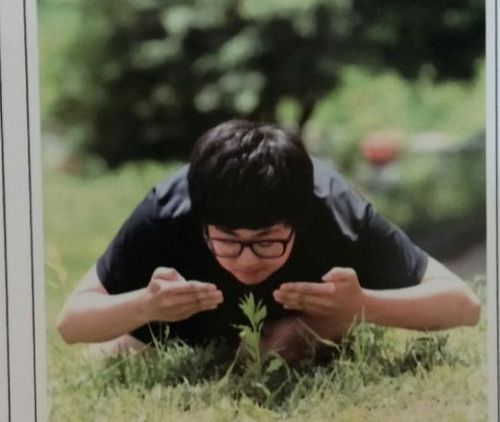 dutchster:  this was the result of a korean high school having no rules for their senior photos           