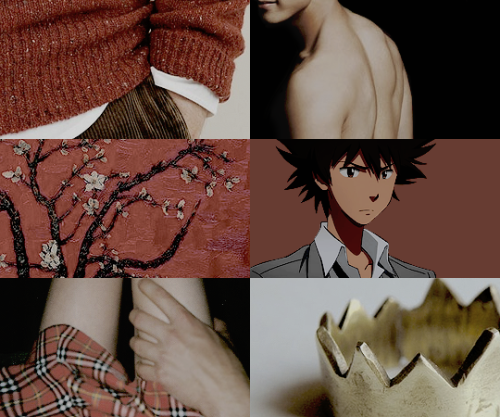 dianaagron:Digidestined + hogwarts houses↳ Yagami Taichi & Takaishi Takeru; gryffindor