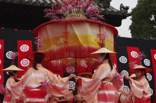 はねず踊り（Hanezu Odori : Zuishinin Temple）