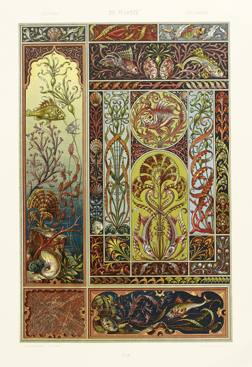 Anton Seder, Die Pflanze in Kunst und Gewerbe | The plant in art and trade, Plate 28, 1887. Vienna. 
