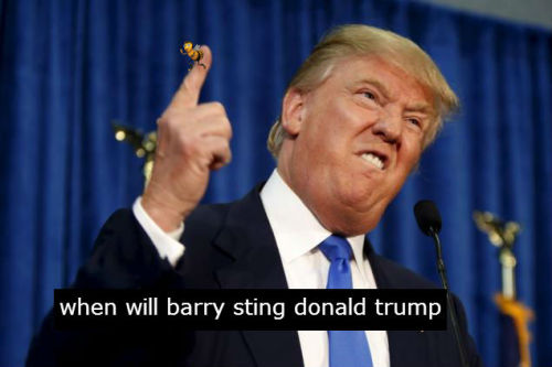 beemovieconfessions:when will barry sting donald trump