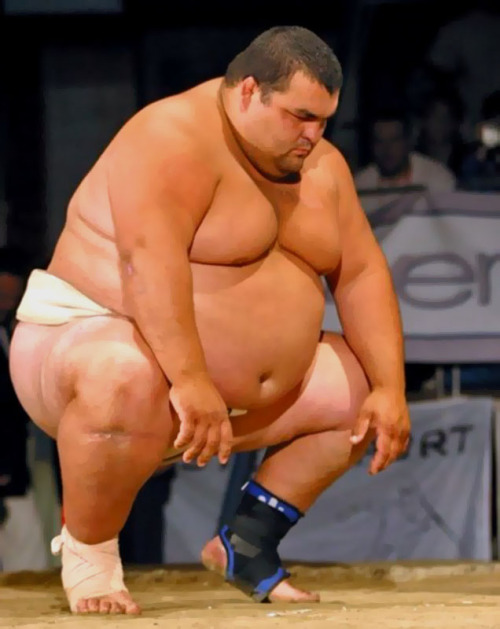 superbears:  CUTE CHUB BULL  Sumo player