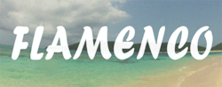 proyectpuertoricanbeaches:  Flamenco - Culebra