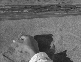 gelsominas-blog: Suna no onna (1964) 