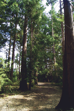 adventored:  nature