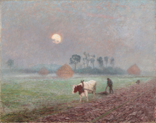 amare-habeo:Emile Claus (Belgian, 1860-1924) Morning field, N/DOil on canvas