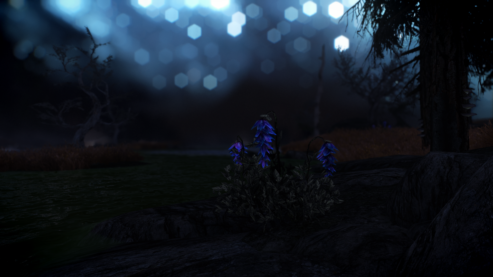 fallout new vegas enb too dark fallout new vegas enb too dark