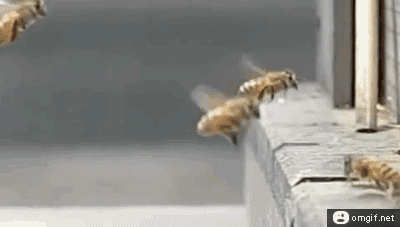 murderousart:  zombyeater:  spookyvarnpire:  the GTA wasted gifs are my favourite