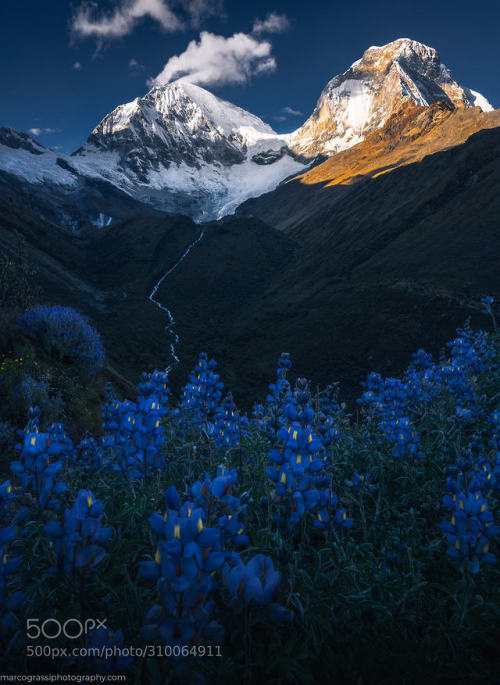 Blooming valley - Peru 2019 by MarcoGrassi