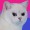 theterrorthatflapsatnight: priceforrottenjudgement:  @ my international followers: