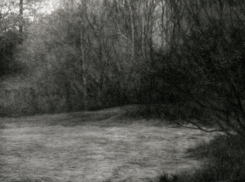 Sue Bryan, In the Great Silence, 2014Charcoal &amp; Carbon on Arches22 x 30 in.