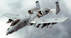 defense-weaponry:  Fairchild Republic A-10 Thunderbolt II aka &quot;Warthog&quot; or “Hog”.   Keep reading