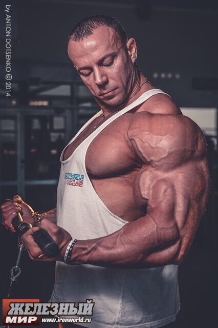 muscleaddictza:  http://shabunya.tumblr.com/