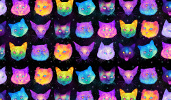 jenbartel:  ✨GALACTIC CATS✨This little