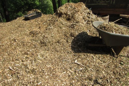 July 2015 - MUUUUUUULCH MANIAMore mulch has arrived! Hopefully we can bribe the tree limb guys to br