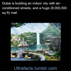 ultrafacts:  Dubai’s “Mall of the World”