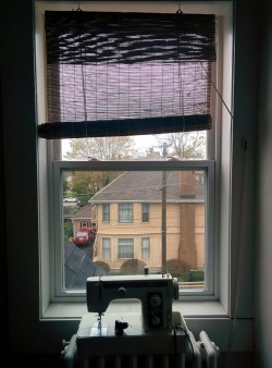 tiniestleaf:  windows from my cozy apartment