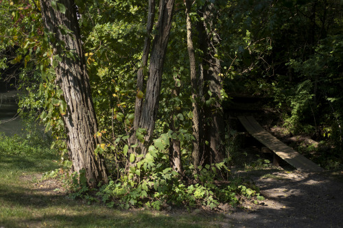 Baintertown Hydro, Goshen, Indiana. September, 2020.Oren Darling