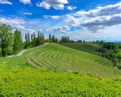 Jeruzalem - Slovenia (by Anna Jewels (@earthpeek))https://www.instagram.com/earthpeek/