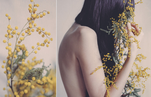 magic-spelldust:With golden weather you have wrapped my body (by Anna O. Photography)