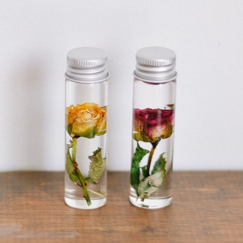 sosuperawesome: Bottled Preserved Flowers Sullis Garden on Etsy See our #Etsy or #Real Flower tags