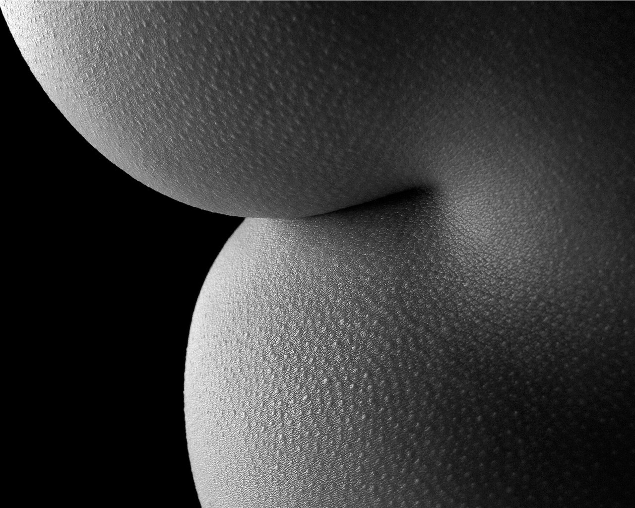 assadict:  Ass Gallery 103