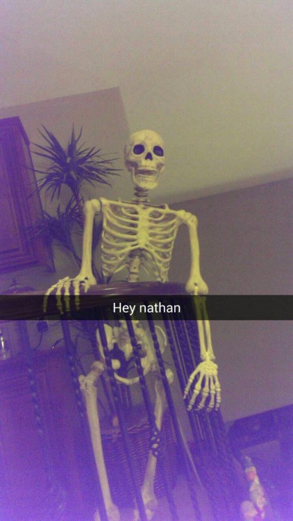 setthestageonfire: So my family got a skeleton for halloween